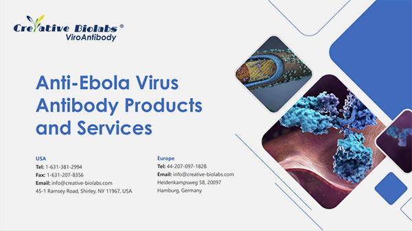 Anti-Ebola-Virus-Antibody-Products-and-Services.jpg