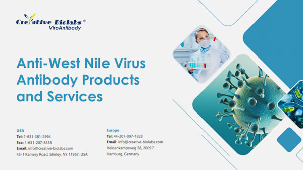 Anti-West-Nile-Virus-Antibody-Products-and-Services.jpg
