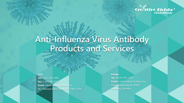 Influenza-virus-antibody-products-and-services.jpg
