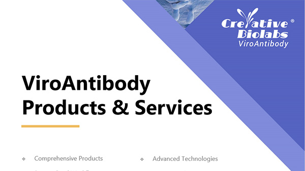 ViroAntibody-Products-and-Services.jpg