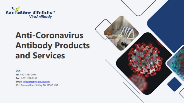 anti-coronavirus-antibody-products-and-services.jpg